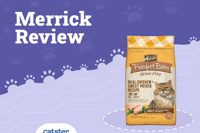 Merrick Cat Food Review 2026: Recalls, Pros & Cons