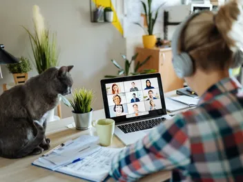 How to Make a Cat-Friendly Office: 10 Simple Vet-Approved Tips