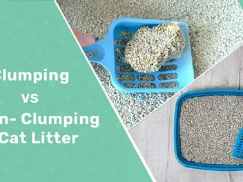 Clumping vs. Non-Clumping Cat Litter: Vet-Reviewed Pros, Cons & Which to Choose