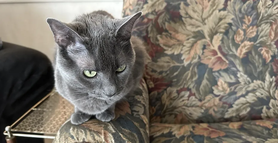 This is my contemplative pose.
