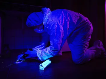 10 Best Blacklights for Finding Cat Urine Stains in 2026 – Reviews & Top Picks