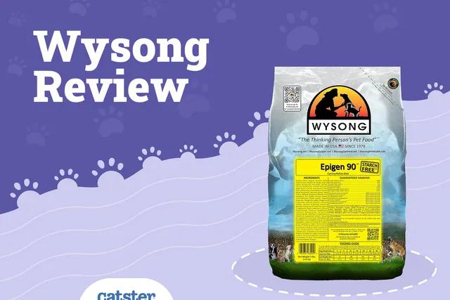 Wysong Cat Food Review of 2026: Recalls, Pros & Cons