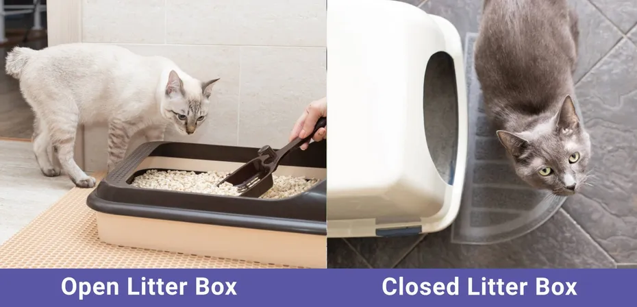 side by side Open VS Closed Litter Box