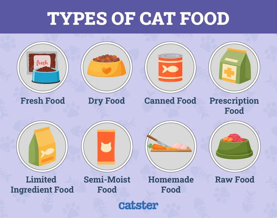 types of cat food