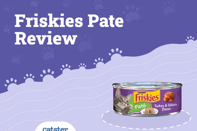 Friskies Cat Food Review of 2026: Recalls, Pros & Cons