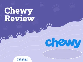 Chewy Review 2026: Pros, Cons & Considerations