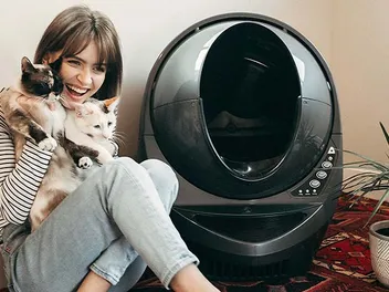 9 Best Cat Litter Boxes for Small Apartments in 2026 - Reviews & Top Picks
