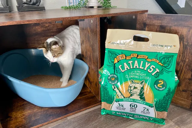 Catalyst Pet Litter Review: Our Expert’s Opinion 2026