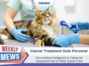 Artificial Intelligence Takes on Feline Cancer: How New Technology Is Helping Treat Common Cat Cancers
