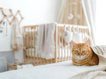 9 Ways to Keep Cats out of a Crib: Easy & Humane
