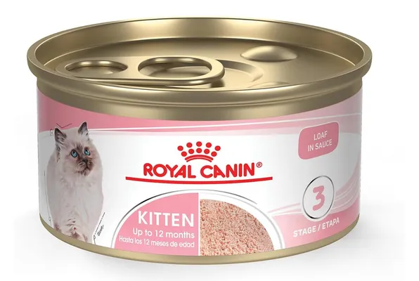 Royal Canin Feline Health Nutrition Kitten Loaf in Sauce Canned Cat Food