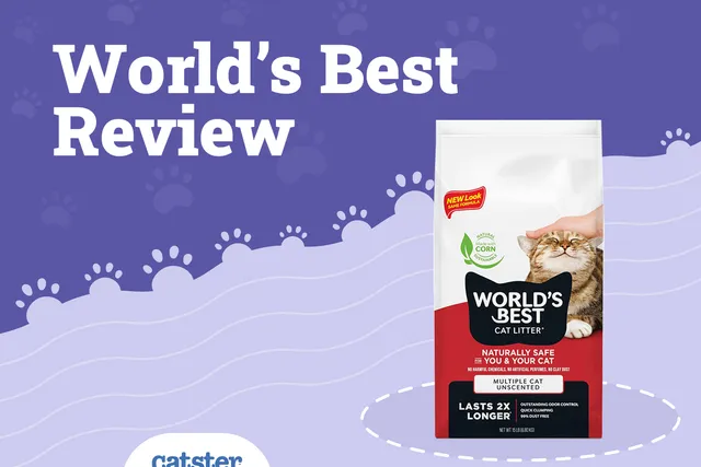 World’s Best Cat Litter Review of 2026: Recalls, Pros & Cons