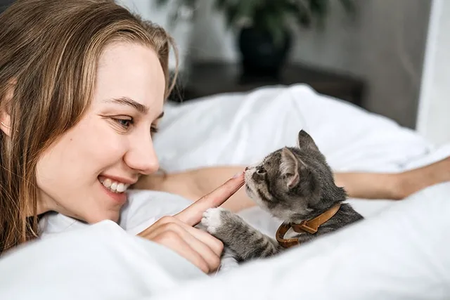 How to Foster Kittens: 9 Vet-Approved Tips
