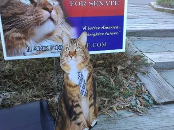 We Interview Hank, the Cat Who Ran for U.S. Senate