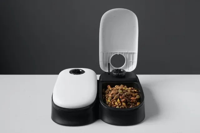 My Cat Is Obsessed With Their Automatic Feeder, Should I Worry? Vet-Reviewed Causes & Facts