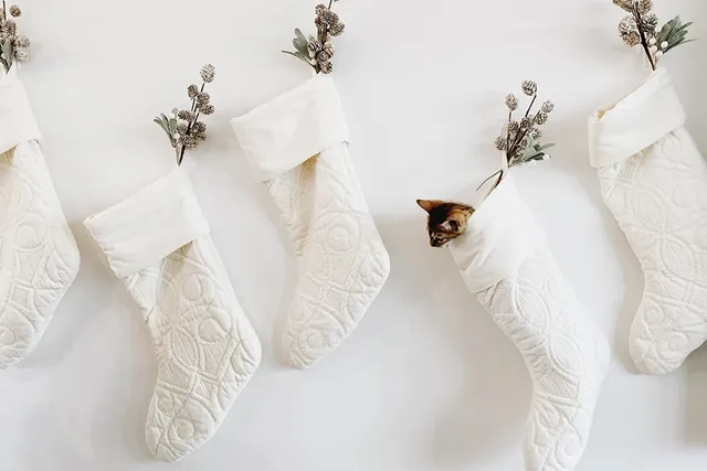 5 Adorable DIY Cat Christmas Stockings to Make Today (With Pictures)
