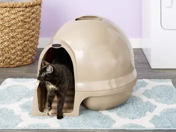 9 Best Litter Boxes to Stop Tracking in 2026: Reviews & Top Picks