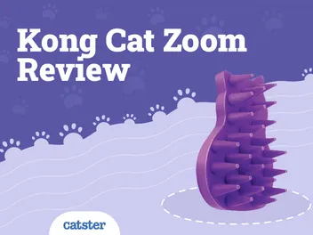 Kong Cat Zoom Groom Review 2026: Pros, Cons & Verdict