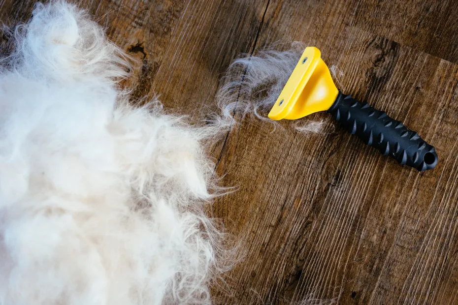 Pile of light gray cat fur from a Ragdoll laying on a wooden floor next to a yellow brush comb