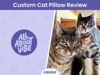 All About Vibe Custom Shaped Pet Pillow Review 2026: A Detailed Look