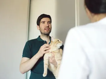 What To Do When Someone Insults You And Your Cat? 5 Helpful Advices