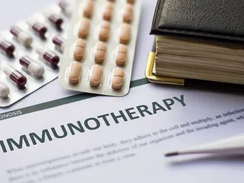 Immunotherapy for Cat Allergies: Our Vet Explains How It Works