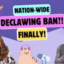 Chatting About Declawing Law Changes, Vegan Cats, and Pre-Internet Rumors | Chatty Cattys, Episode 35