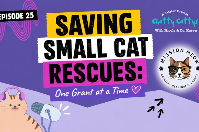 Chatting With Sally About Mission Meow & Helping Cat Rescue Organizations Collaborate | Chatty Cattys, Episode 25