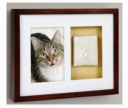 Pearhead Pawprints Dog &amp; Cat Wall Frame and Impression Kit, Espresso