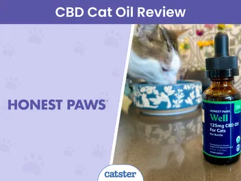 Honest Paws Well CBD Oil Tincture for Cats Review 2026: What Our Tests Revealed