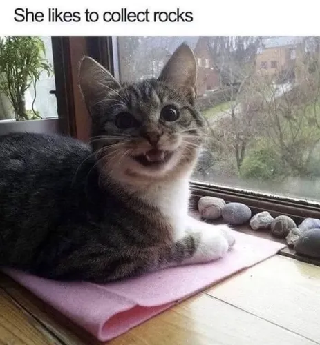 Pure Joy