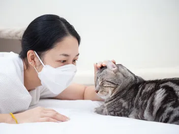 Living With Cats When You're Immunocompromised: Our Vet Explains the Risks, Options, & Provides Tips