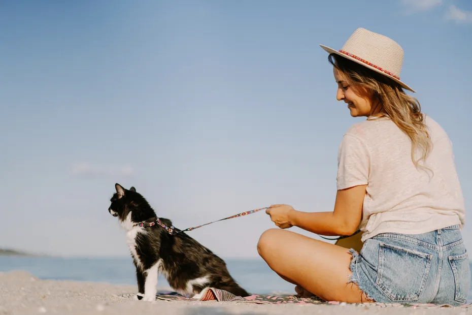 young woman with her cat on the beach