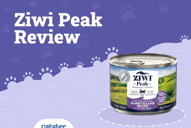Ziwi Peak Cat Food Review of 2026: Recalls, Pros & Cons
