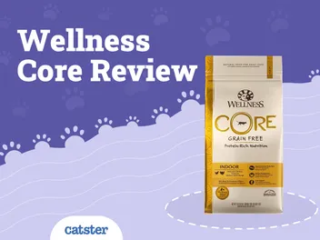 Wellness Cat Food Review of 2026: Recalls, Pros & Cons