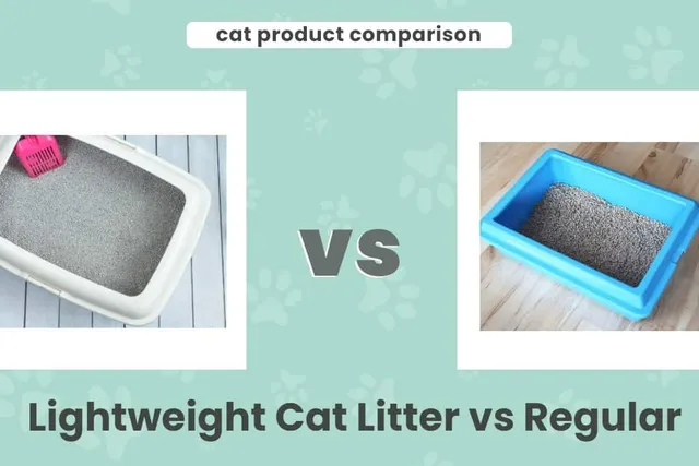 Lightweight Cat Litter vs Regular: Our 2026 Comparison