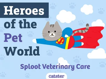Sploot Veterinary Care | Heroes of The Pet World