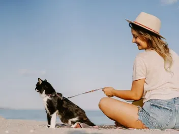 Can I Take My Cat to the Beach? 6 Vet-Reviewed Tips and FAQ