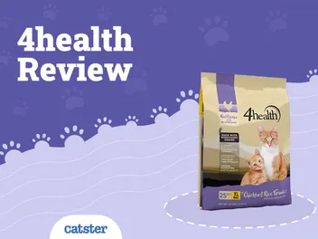 4 Health Cat Food Review of 2026: Recalls, Pros & Cons