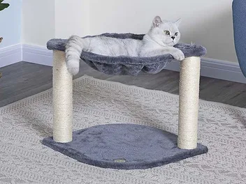10 Best Budget Cat Trees in 2026 - Reviews & Top Picks