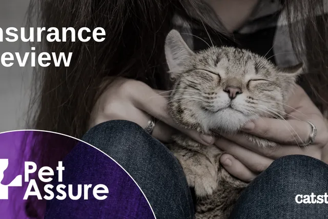 Pet Assure Insurance Mint Wellness Plan Review 2026: A Detailed Look