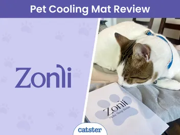 Zonli Pet Cooling Mat Review 2026: A Detailed Look