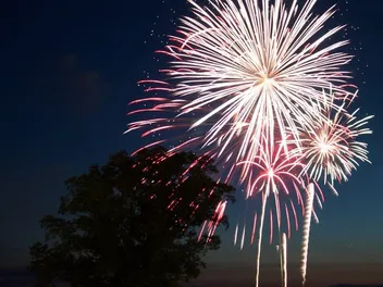 How to Calm Your Cat During Fireworks: 6 Vet-Approved Tips & Tricks
