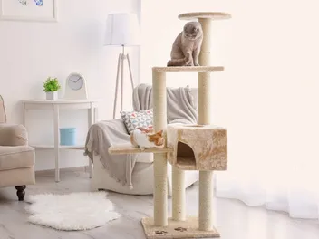 12 Best Cat Trees for Large Cats in 2026 - Reviews & Top Picks