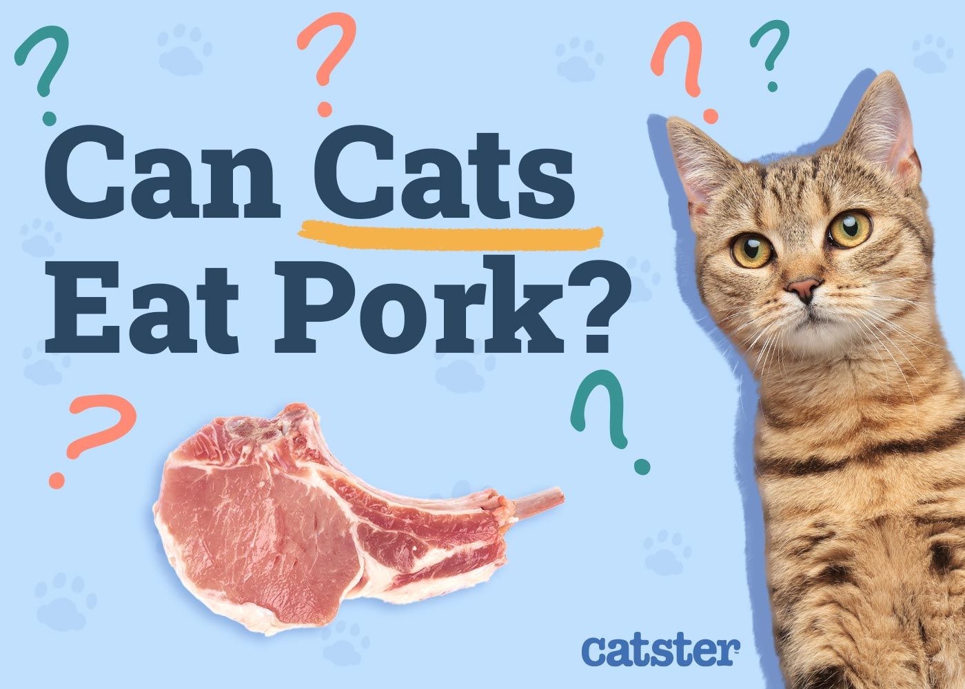 Can Cats Eat Pork