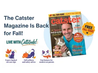 The Catster Digital Magazine: Fall 2026 Issue