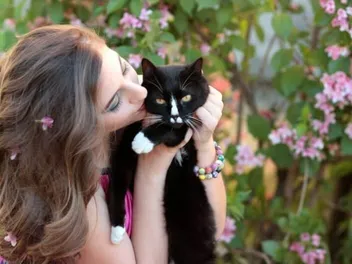 Do Cats Like Kisses? Vet-Verified Explanation