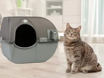 10 Best Budget Cat Litter Boxes in 2026 — Reviews & Top Picks