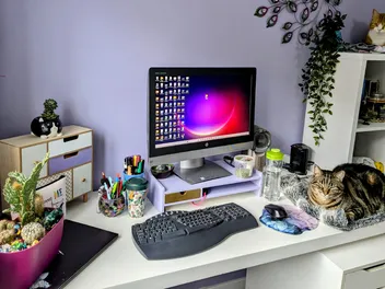 The Joys of Sharing My Office With Cats: Litter in the Keyboard & More