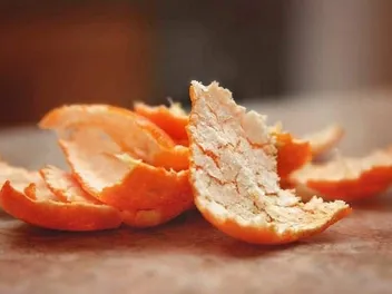 Do Orange Peels Keep Cats Away? Vet-Reviewed Facts & Alternatives